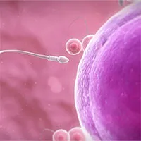 Chuyện chưa kể về cuộc đua của tinh trùng: Nhẩn nha, thoải mái, không phải càng nhiều càng tốt