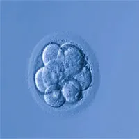 5 cặp vợ chồng người Nga đã đồng ý sử dụng chỉnh sửa gene để con không bị điếc?