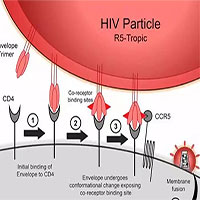 Phát hiện đột biến gene thứ hai liên quan đến khả năng kháng HIV