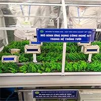 Sinh viên thiết kế hệ thống tự động tưới khi cây "khát" nước