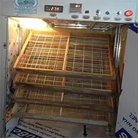 Nông dân 8X chế tạo máy ấp trứng tỷ lệ nở 98%