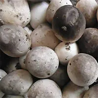 Ăn nấm có thể ngừa ung thư nhưng không ăn thay thịt, cá