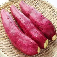 Những đại kỵ khi ăn khoai lang, biết mà tránh nếu không muốn "mang trọng bệnh"