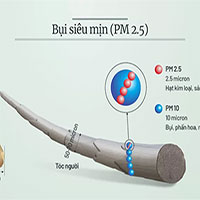 Bụi mịn là gì? Tác hại khi hít phải bụi mịn trong không khí