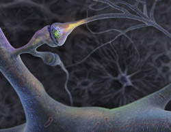 Internet đứng No2 về tin tức khoa học, công nghệ