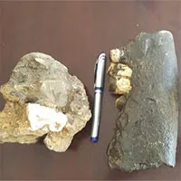 ルック族の集落近くでサイの一種リノケロス・シネンシスの化石を発見
