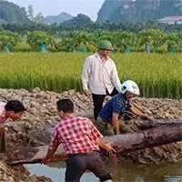 Phát hiện 2 cọc gỗ cổ bên sông Bạch Đằng