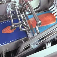 Mãn nhãn với dây chuyền phi lê cá tự động với độ chính xác không tưởng