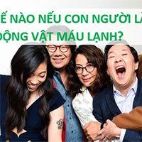 Điều gì sẽ xảy ra nếu con người là... 