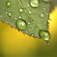 Lá nhân tạo có thể quang hợp "như thật", vừa loại được CO2 lại vừa tạo ra cả oxy và nhiên liệu