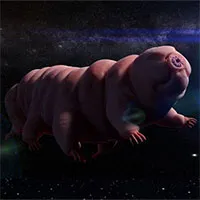 Con người sẽ bị lai tạo với "quái vật bất tử" tardigrade?
