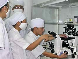 Thụ tinh trong ống nghiệm cho bò sữa