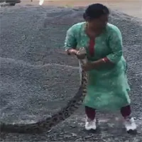 Người phụ nữ tay không bắt trăn nặng 20kg