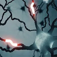 Phát hiện một loại tín hiệu chưa từng biết trong não người