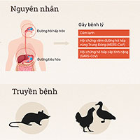 Bệnh viêm phổi lạ Trung Quốc nguy hiểm thế nào?