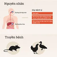 Bệnh viêm phổi lạ Trung Quốc nguy hiểm thế nào?