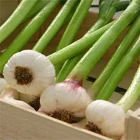 Những siêu thực phẩm không nên bỏ lỡ trong mùa xuân