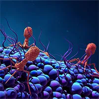 Phát hiện loại virus khổng lồ "ăn sống" vi khuẩn