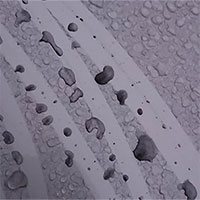 “Mưa đen” bí ẩn xuất hiện tại Nhật Bản