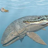 Leedsichthys: "Máy hút bụi" của biển cả Kỷ Jura từng bị hiểu nhầm là khủng long