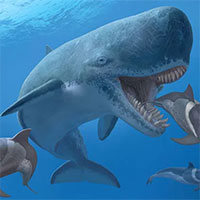 Cá voi cổ đại Melvillei - Cơn ác mộng của siêu cá mập Megalodon