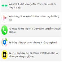 Ý nghĩa các biểu tượng trên Apple Watch