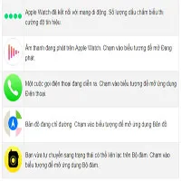 Ý nghĩa các biểu tượng trên Apple Watch