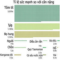 Con gì khỏe nhất hành tinh?