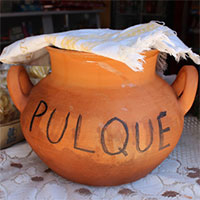 Pulque - Thứ rượu dành cho đàn ông đích thực