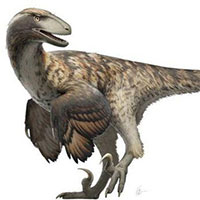 Bộ phim Công viên kỷ Jura đã sai: Khủng long Velociraptor không đi săn theo bầy