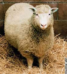 Úc dỡ bỏ lệnh cấm nhân bản vô tính