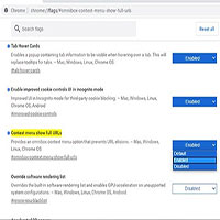 Hướng dẫn bật hiển thị URL đầy đủ trong Google Chrome
