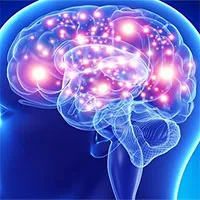 Tìm ra vị trí stress "trú ẩn" trong bộ não