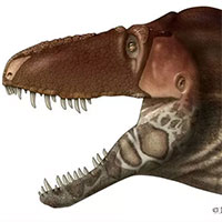 Khủng long bạo chúa Tyrannosaurus dựa vào giác quan thứ sáu để 