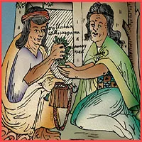 Giải mã loại lá cây được quý hơn vàng của đế chế Inca