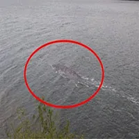 Quái vật hồ Loch Ness quay trở lại?