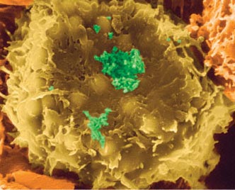 Những phát minh khác thường