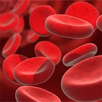 Tuổi thọ của con người liên quan nồng độ sắt trong máu