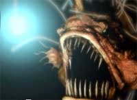 Cá biết... câu cá