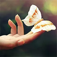 "Hiệu ứng cánh bướm" là sai, các nhà khoa học đã chứng minh được điều này ở cấp độ lượng tử