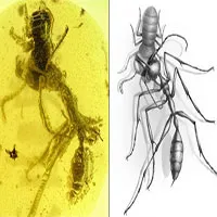 Phát hiện kiến "địa ngục" thời tiền sử sở hữu vũ khí chết người