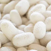 Các nhà khoa học chế tạo thành công ổ cứng máy tính làm từ lụa tơ tằm