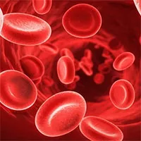 Nhóm máu âm tính Rh: Bí ẩn của dấu trừ