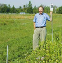 Trồng nhiều loại cỏ để chế tạo nhiên liệu sinh học