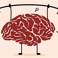 Vận động trí óc thật nhiều có giúp chúng ta đốt cháy lượng calo dư thừa?