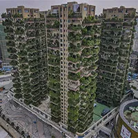 "Khu rừng thẳng đứng" ở Trung Quốc bị muỗi xâm chiếm