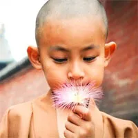 Trên đời nên hạn chế hỏi "Tại sao" thì mới có thể thành công