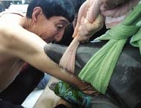 Người cao nhất thế giới cứu cá heo