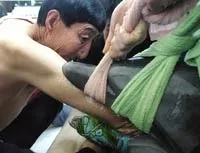 Người cao nhất thế giới cứu cá heo
