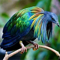 13 bizarre creatures from Vietnam that amazed the internet